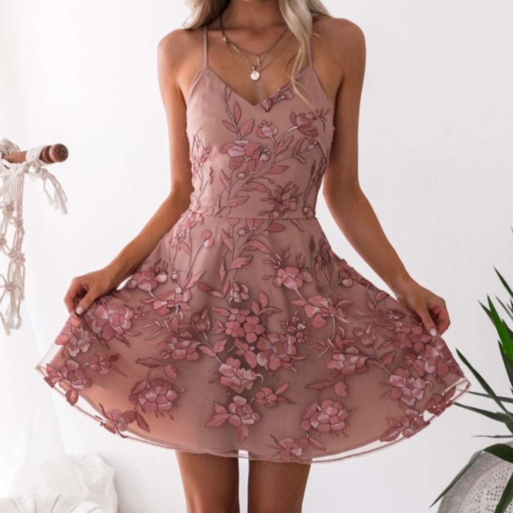 Blush mesh embroidered dress size 4 (small).